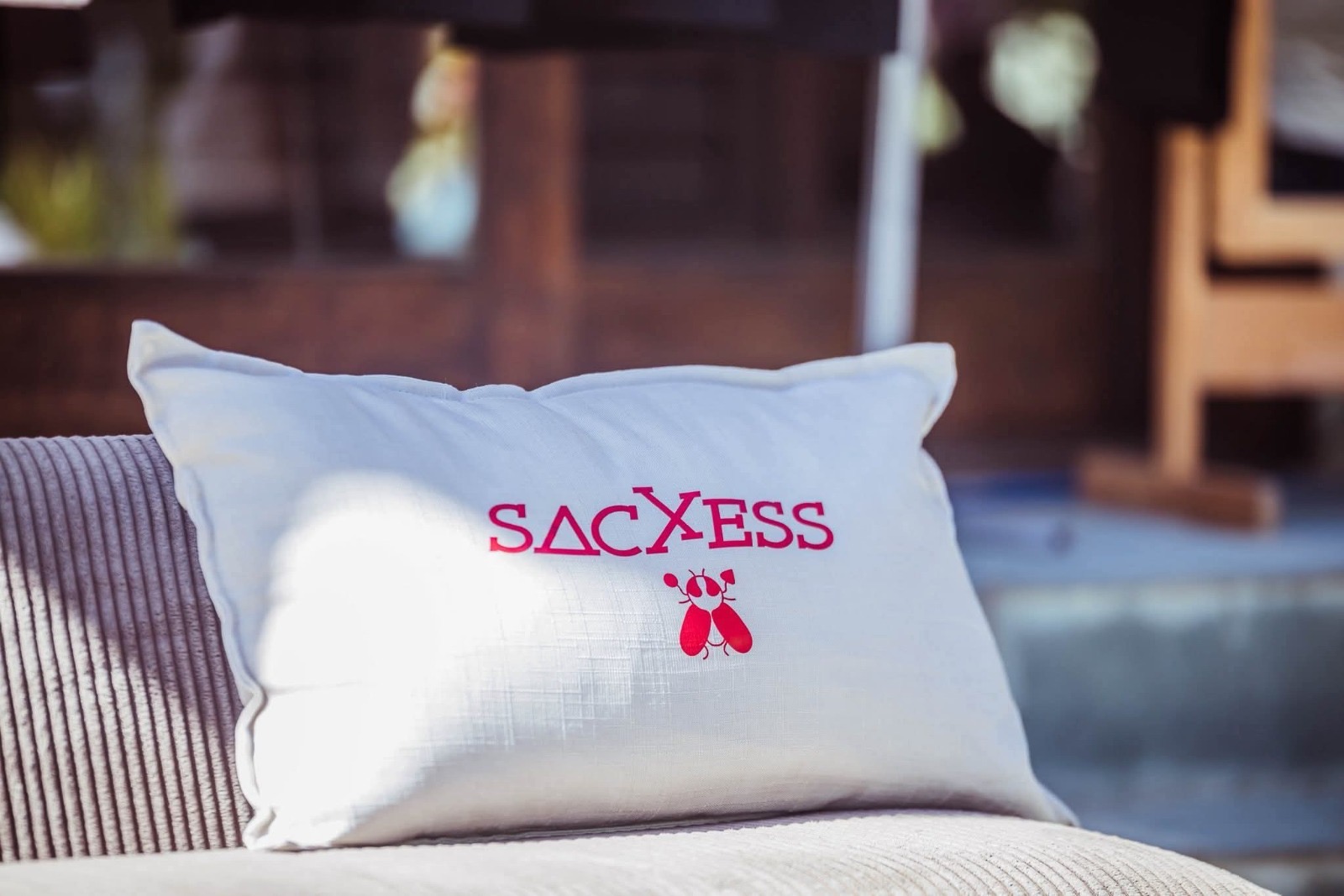 Sacxess embroidered pillow